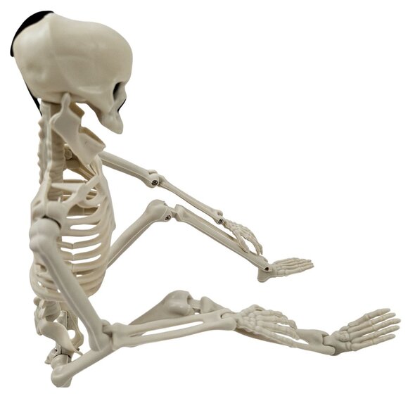 Skeletons Set of 4 Hanging Posable 16 in Full Body Halloween Decor Plastic - Picture 12 of 13